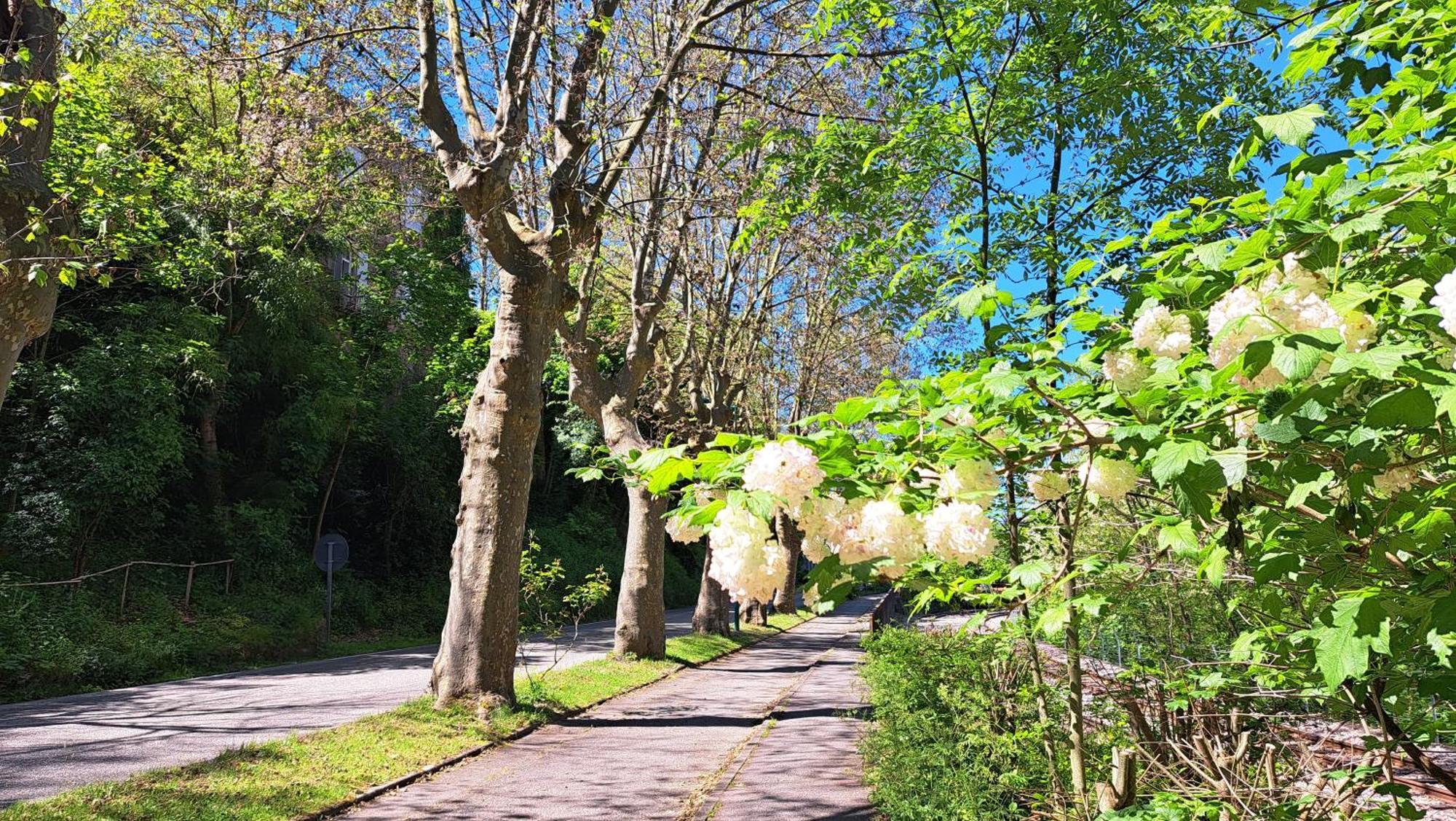 Villa Du Doubs Au Doux à Lamastre Extérieur photo